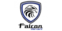 falcon_logo_brand