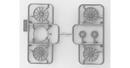 icm-24031-07